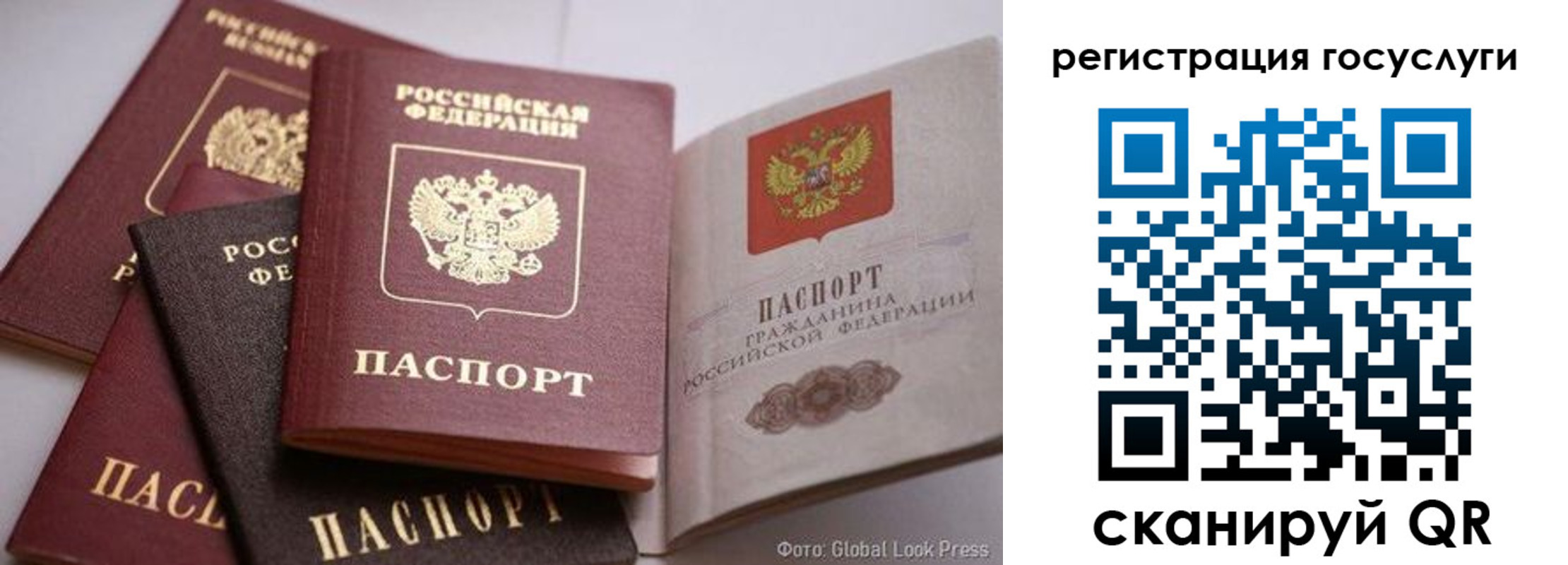 прописка поиск в Йошкар-Оле